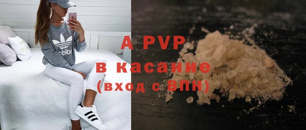 первитин Богданович