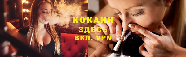 первитин Богданович
