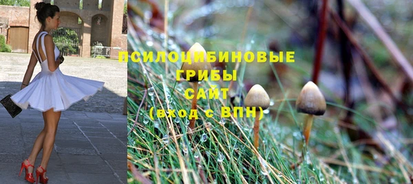 стафф Баксан