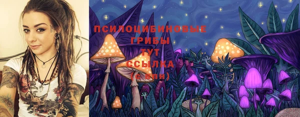 синтетический гашиш Богородск