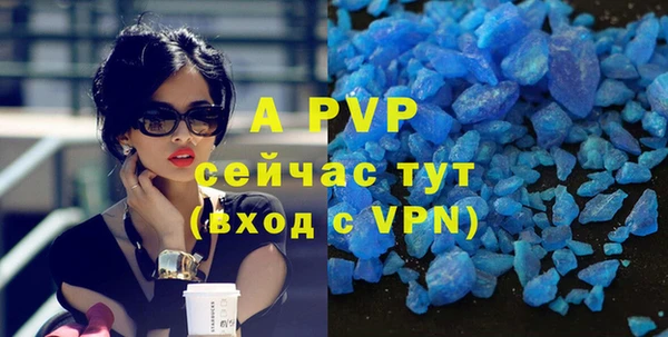 первитин Богданович