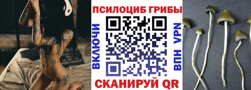 Купить  Вичуга  Галлюциногенные грибы Cubensis 