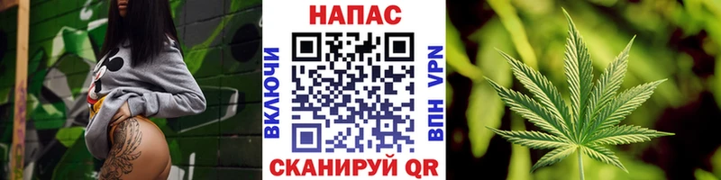 Бошки Шишки марихуана Вичуга